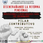 Reforma Pensional:  Ley 2381 de 2024, Pilar Contributivo